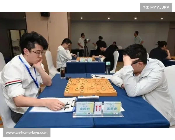 全国象棋集训队选拔赛圆满落幕 刘子健董毓男成功入选国家队 全国象棋集训队选拔赛圆满落幕 刘子健董毓男成功入选国家队